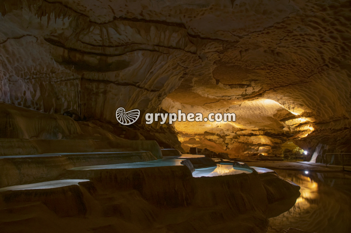 Gours et vasques naturelles - Grotte Saint Marcel (Ardèche) - gryphea.org
